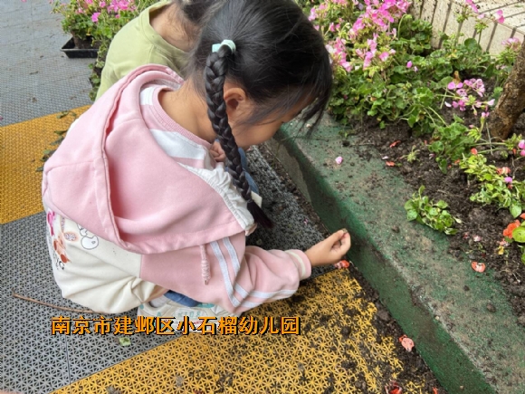 附件：10.jpg