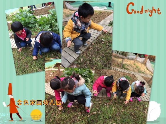 附件：IMG_3711_鍓湰.jpg
