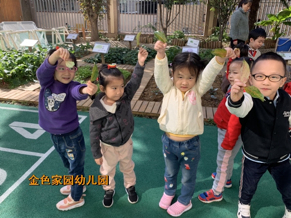 附件：3771506cf942fe9ebc20948e3bd626b1.jpg