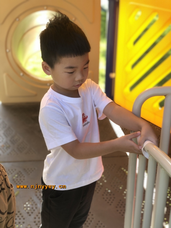 附件：IMG_3556.JPG