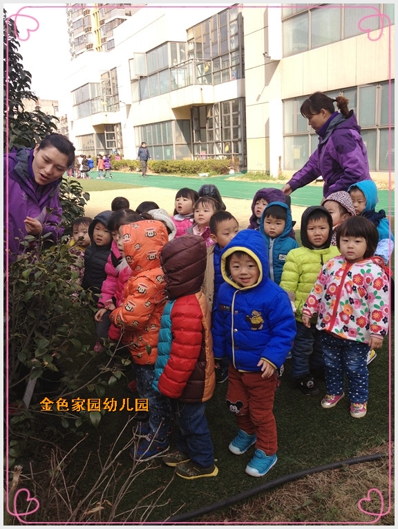 20140313135423352.jpg