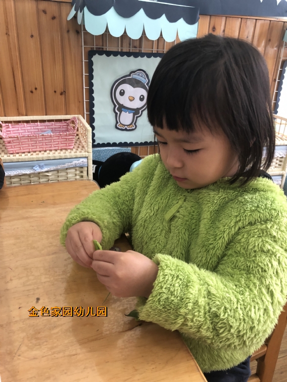附件：IMG_9437.JPG