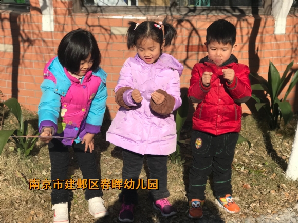 附件：0110_12.jpg