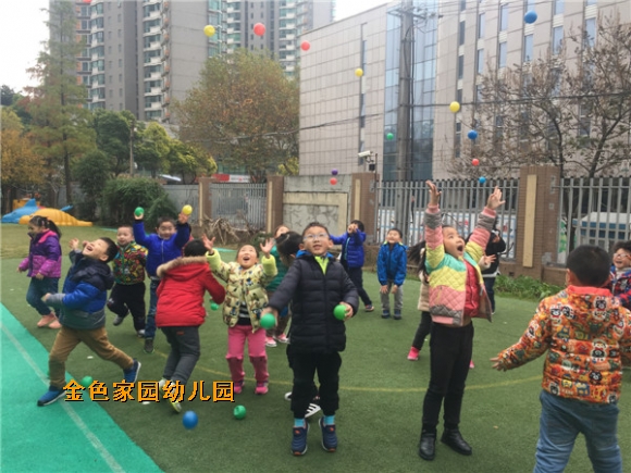 附件：IMG_7520.JPG