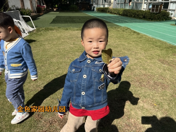 附件：1666317411279.jpg