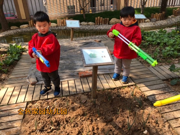 附件：IMG_0502.JPG