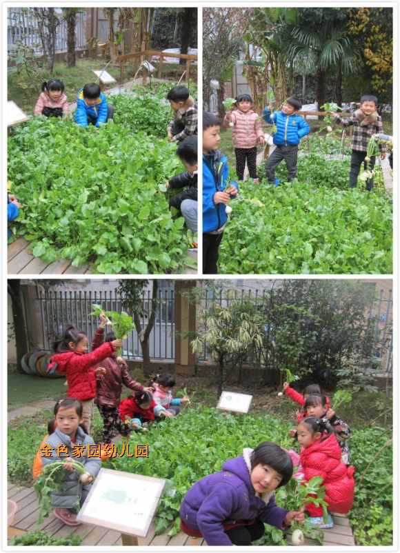 附件：1.jpg