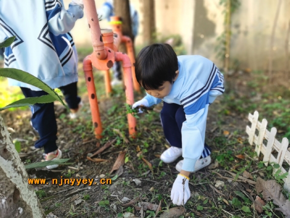 附件：B0D0724B450DDA3067C9457B477435F2.jpg