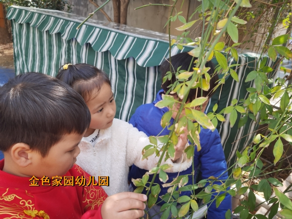 附件：IMG_20220302_114137.jpg