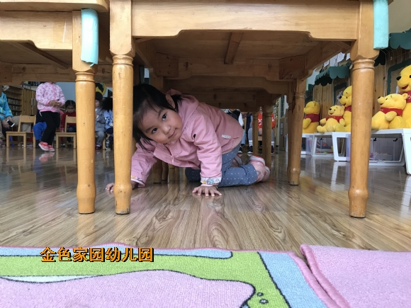 附件：IMG_8336.JPG
