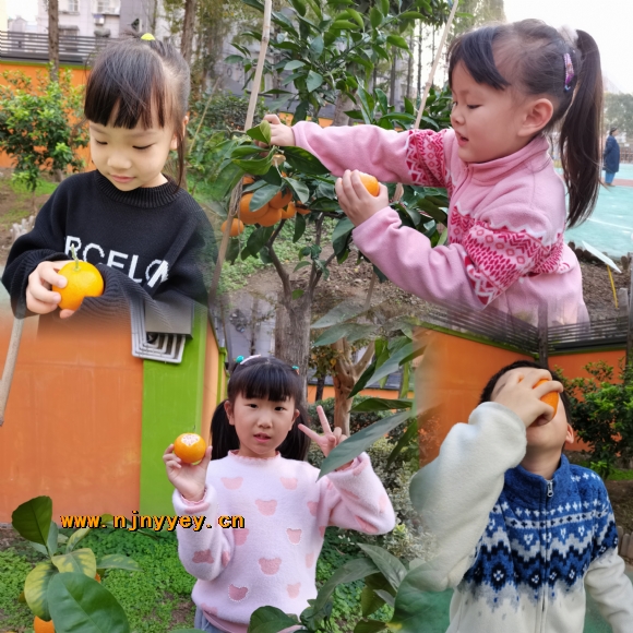 附件：_pt2022_11_11_21_43_14.jpg
