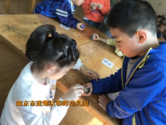 附件：IMG_7962.JPG