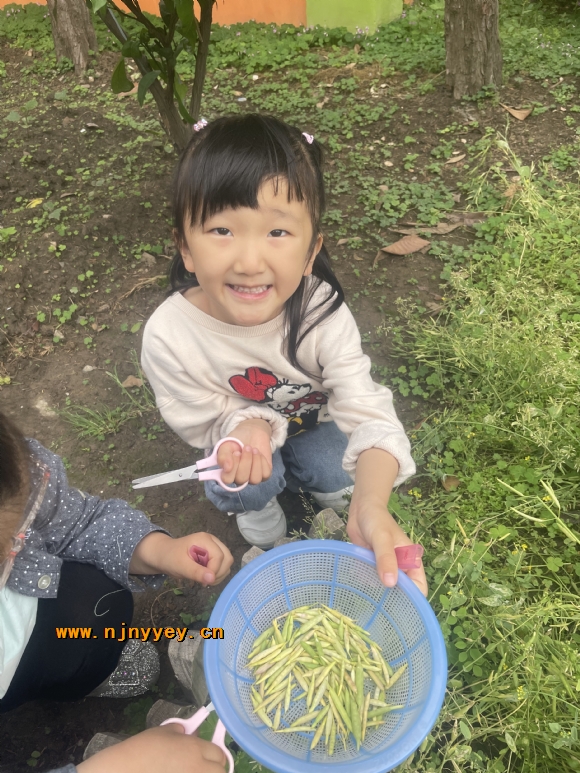 附件：IMG_1612.JPG