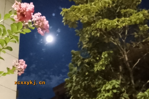 附件：IMG_20210920_215022.jpg
