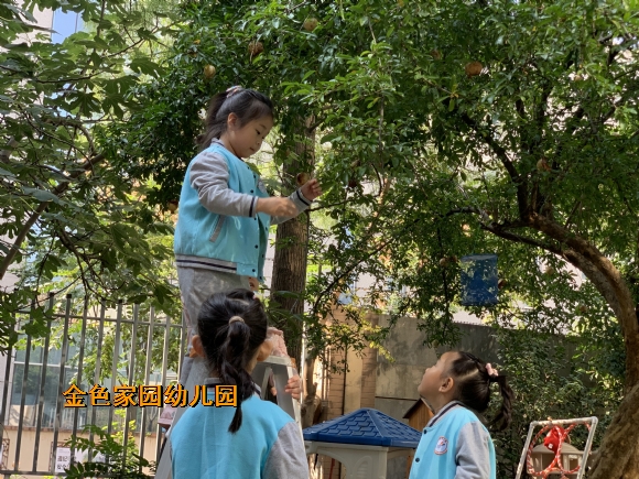 附件：1697605870316.jpg