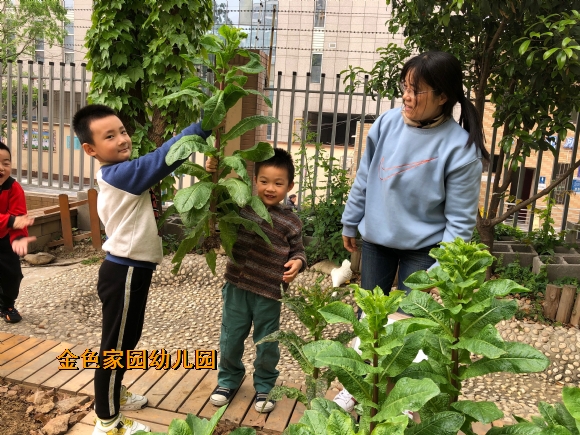 附件：IMG_8261(20210422-134152).JPG