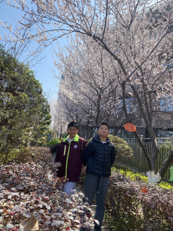 附件：CF1E5466063ECE59AB0AB12D9AF8615C.png