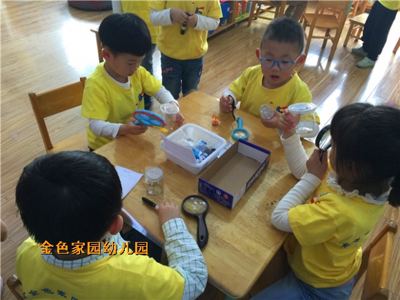 附件：IMG_2221.jpg