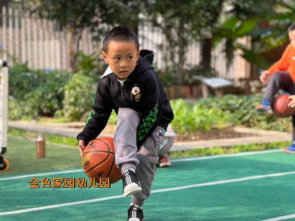 附件：IMG_2628(20211112-122643).JPG