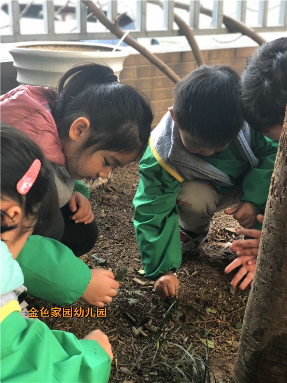 附件：608138554975211888.jpg
