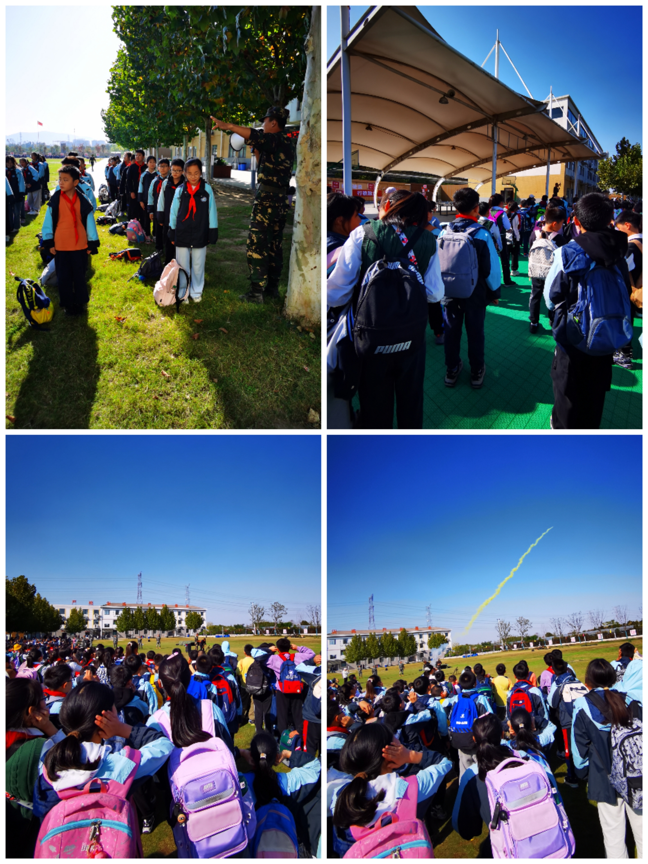 Collage_20241127_215350.jpg