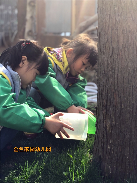 附件：579308794028682520.jpg