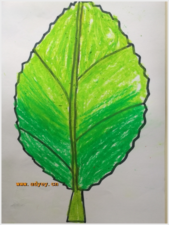 附件:71693ED63DE660C7B3B204B8E87F0575.jpg 附件:71693ED63DE660C7B3B204B8E87F0575.jpg