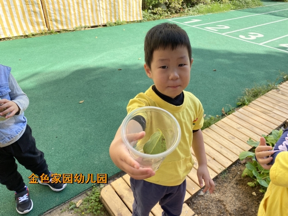 附件：4eb2772c279b8c8288e60422e2d713bb.jpg