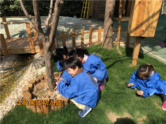 附件：IMG_0905.jpg