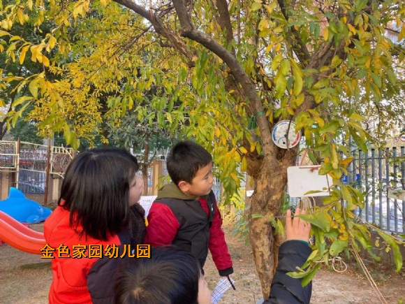 附件：微信图片_20211222152352.jpg