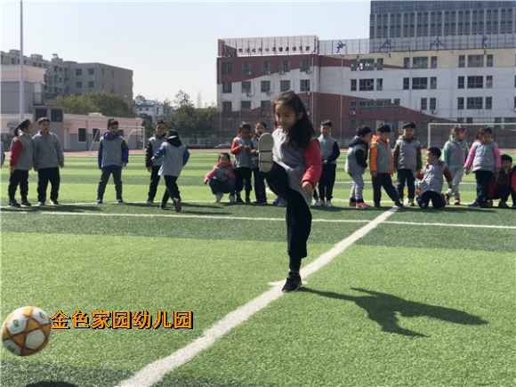 附件：IMG_4703.jpg
