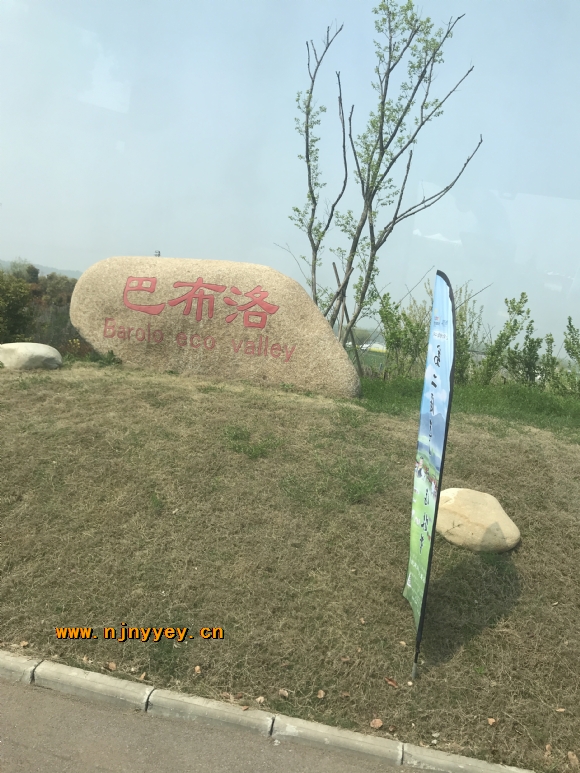 附件：IMG_4382.JPG