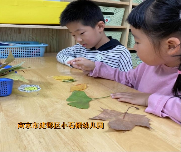 附件：3.png