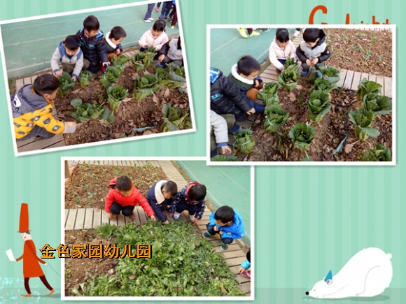 附件：1.jpg