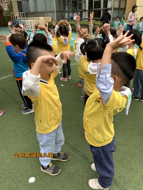 附件：IMG_3985.JPG