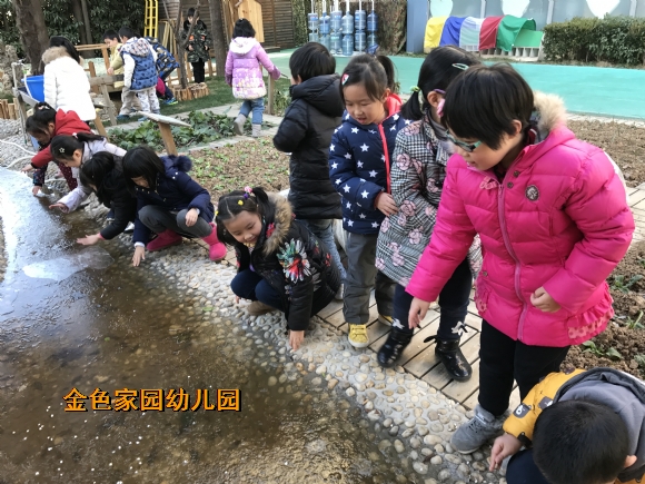 附件：1月照片IMG_0050.JPG