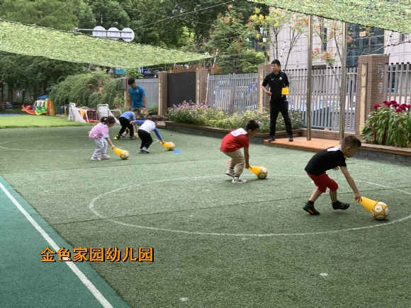附件：IMG_7290.JPG