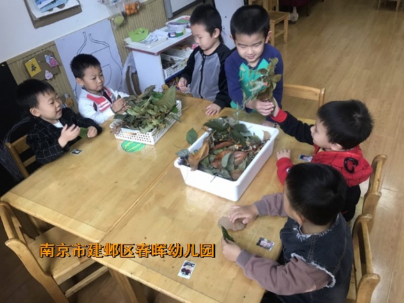 附件：IMG_6144.JPG