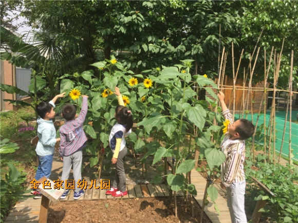 附件：IMG_2582.JPG