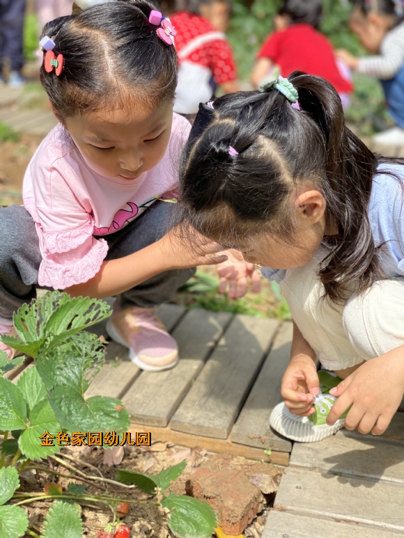 附件：IMG_9109.JPG