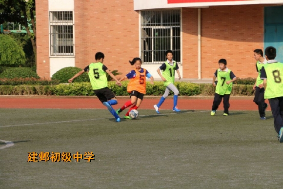 附件：QQ图片20170517082817.jpg