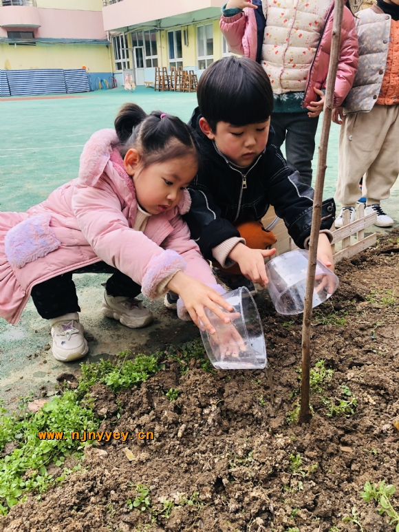 附件：IMG_1652.JPG
