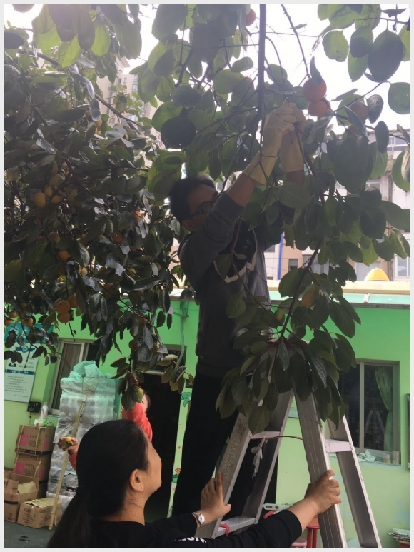 建邺教育信息网