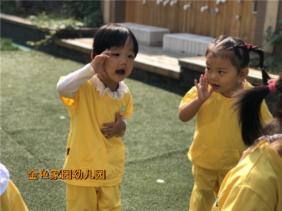 附件：IMG_8515.JPG