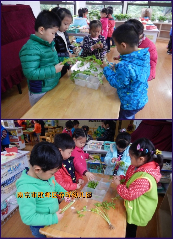 附件：2.jpg