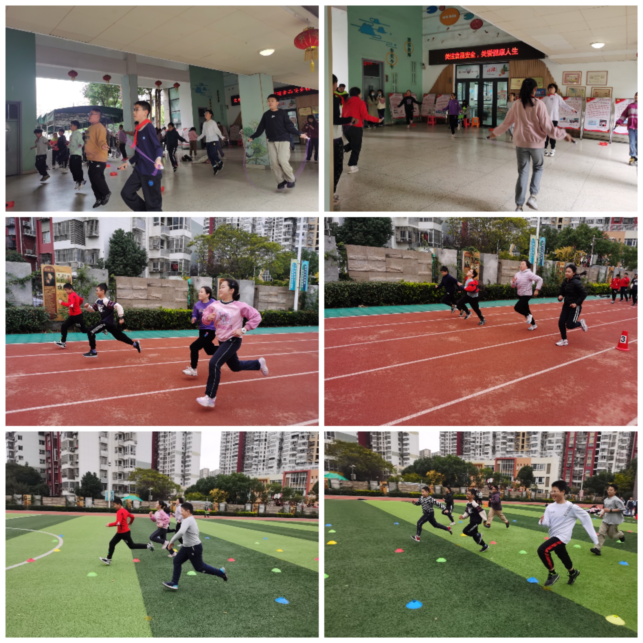 Collage_20231114_084554.jpg