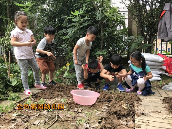 附件：IMG_5995.JPG