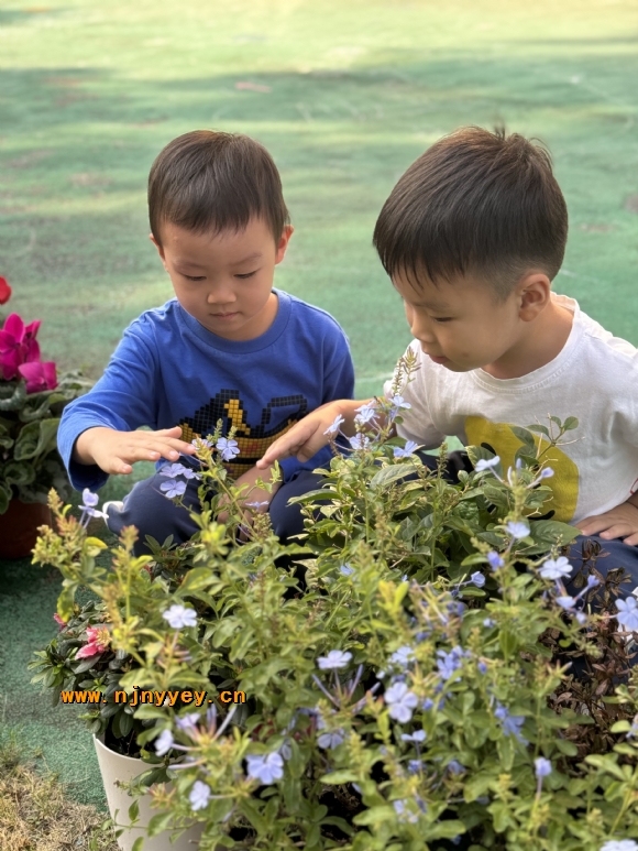 附件：IMG_0190.JPG