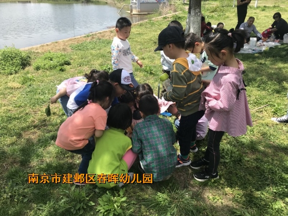 附件：conew_img_3428.jpg