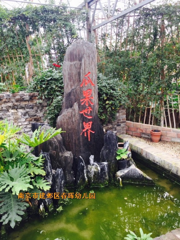 附件：conew_img_6235(20161112-101203).jpg